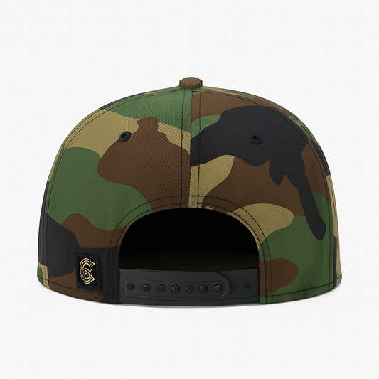 সমতল ব্রিমের সাথে আধুনিক সূচিকর্ম করা স্ন্যাপব্যাক