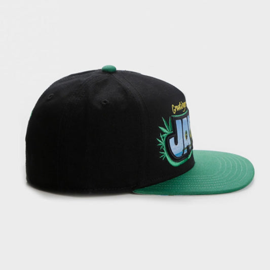 ব্লাজিন' আইল্যান্ডের সূচিকর্ম করা হিপ হপ ফ্ল্যাট ব্রিম টুপি।