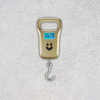 Portable Mini Electronic Digital LCD 50kg Weight Scale