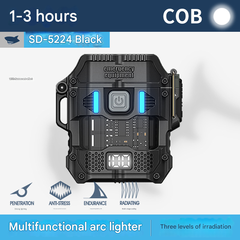 Multi-function keychain light, arc lighter, portable lighting with Lighter